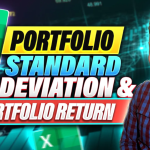 Mastering Multi-Asset Portfolio Analysis: Standard Deviation & Returns in Excel Video Tutorial